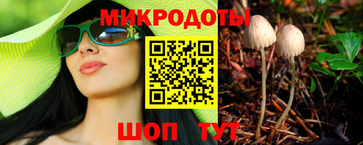 Галлюциногенные грибы Psilocybine cubensis Южно-Сахалинск