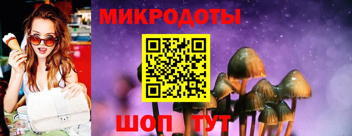 Псилоцибиновые грибы GOLDEN TEACHER  Вход с VPN  Южно-Сахалинск 